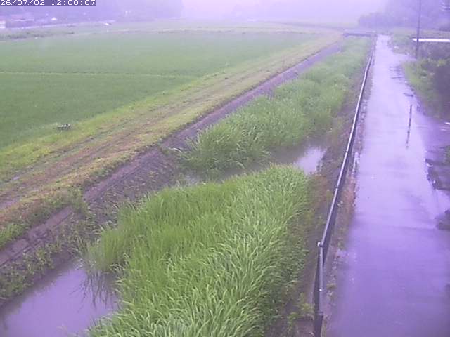 円城寺川１2026/07/03 8:30:00