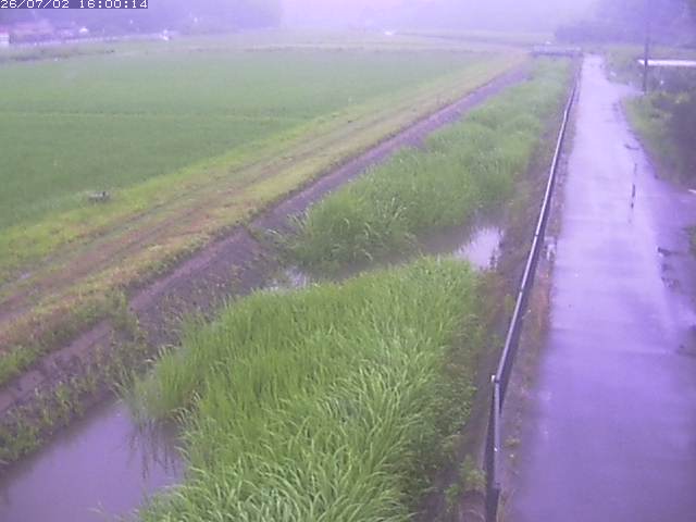 円城寺川１2026/07/03 8:30:00