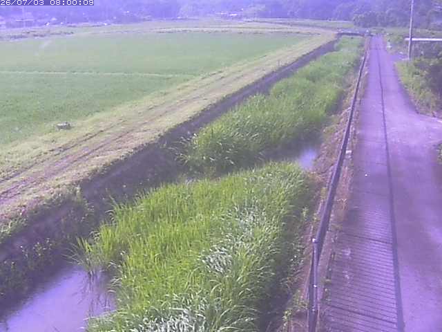 円城寺川１2026/07/03 8:30:00