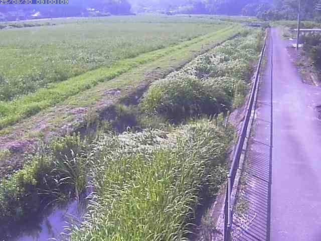 円城寺川１2025/08/31 9:20:00