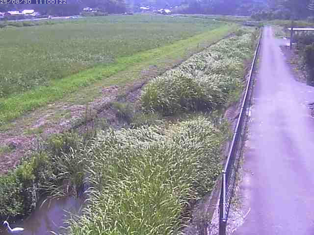 円城寺川１2025/08/31 9:20:00
