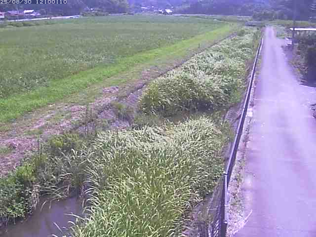 円城寺川１2025/08/31 9:20:00