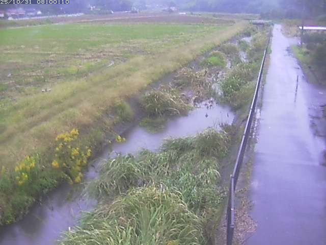 円城寺川12025/11/01 0:00:00