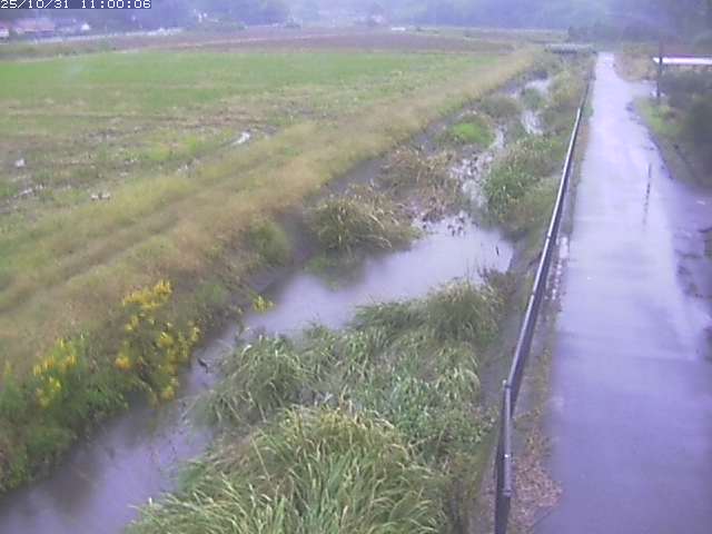 円城寺川12025/11/01 0:00:00