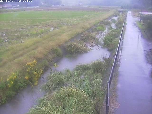 円城寺川12025/11/01 0:00:00