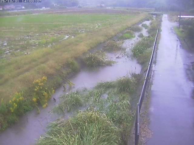 円城寺川12025/11/01 0:00:00