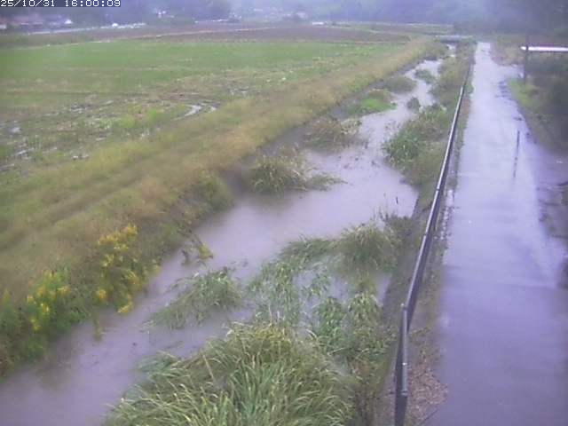 円城寺川12025/11/01 0:00:00