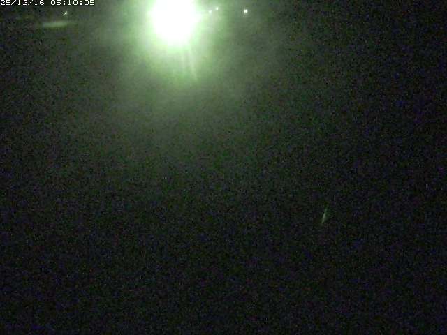 円城寺川１2025/12/16 8:50:00