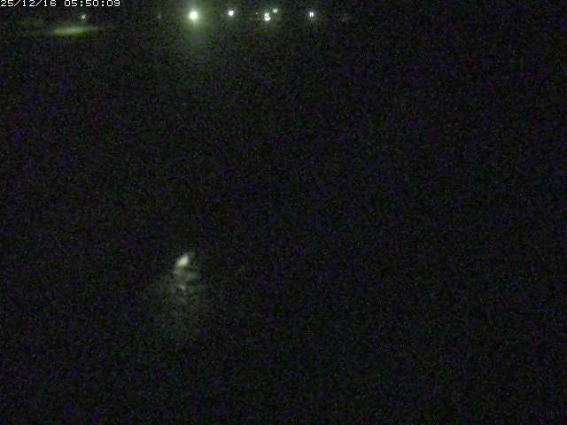 円城寺川１2025/12/16 8:50:00