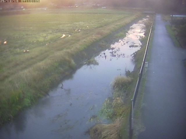 円城寺川１2025/12/16 8:50:00