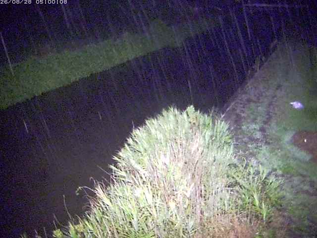 宇田川２2026/08/28 17:00:00