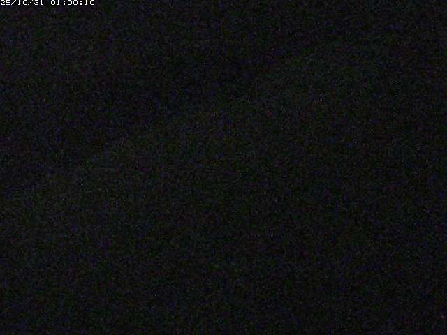 宇田川22025/10/31 07:50