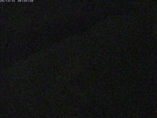 宇田川22025/10/31 07:50