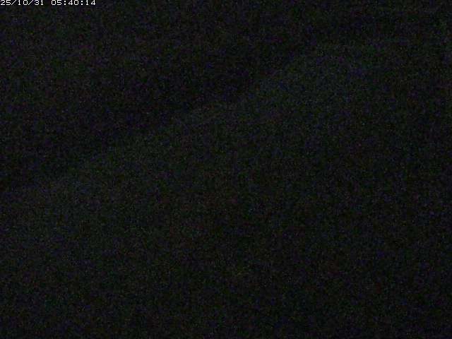 宇田川22025/10/31 07:50