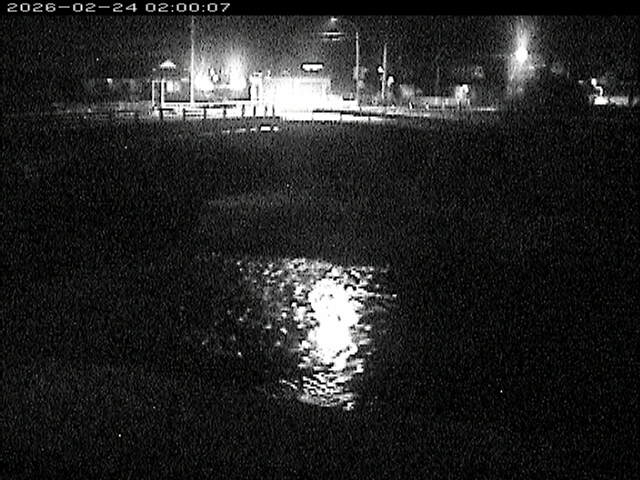 蒲生川２2026/02/25 2:30:00