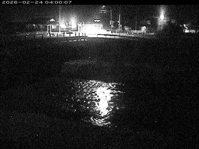 蒲生川２2026/02/25 2:30:00