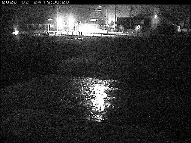 蒲生川２2026/02/25 2:30:00