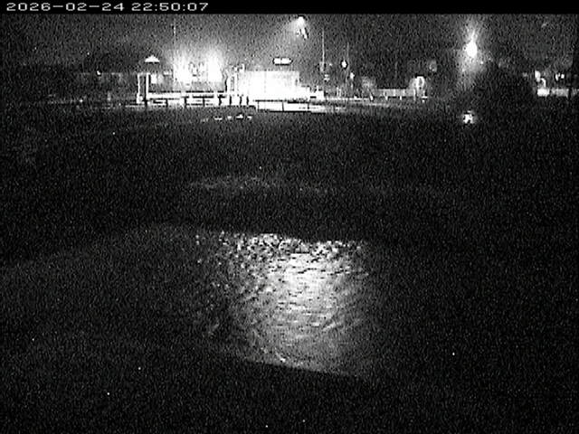 蒲生川２2026/02/25 2:30:00