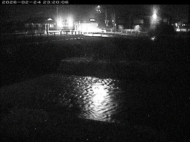 蒲生川２2026/02/25 2:30:00