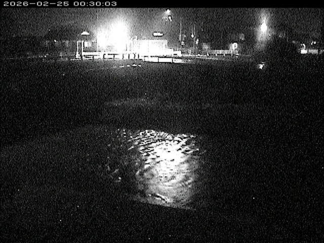 蒲生川２2026/02/25 2:30:00