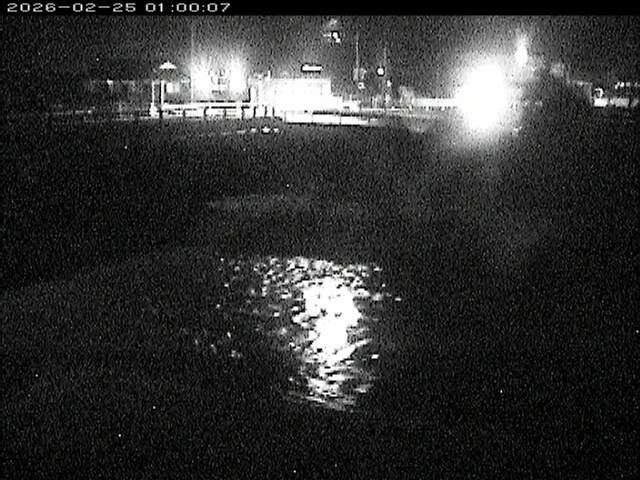 蒲生川２2026/02/25 2:30:00