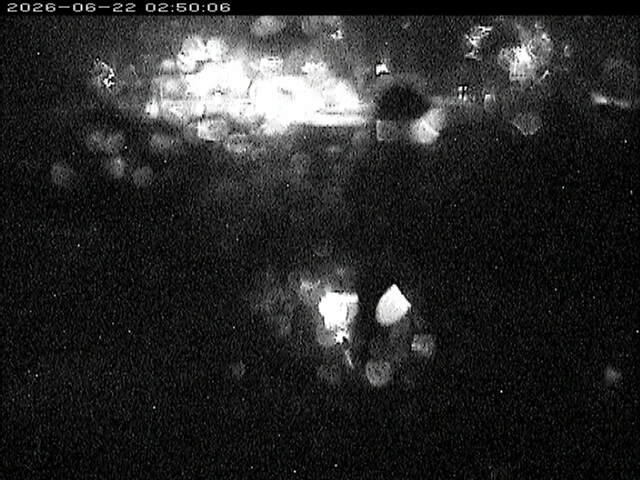 蒲生川２2026/06/22 3:10:00