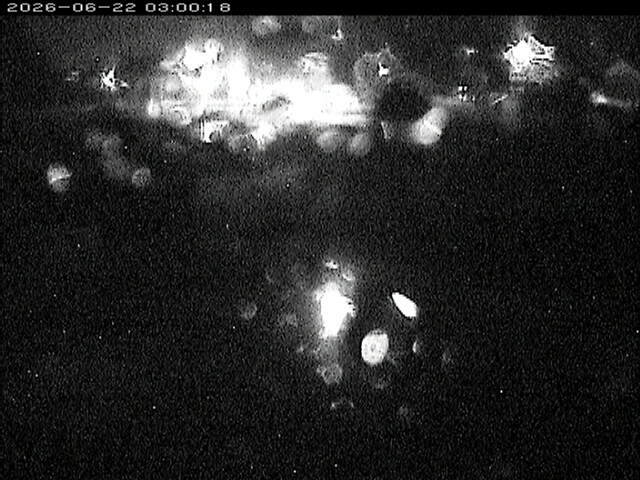 蒲生川２2026/06/22 3:10:00