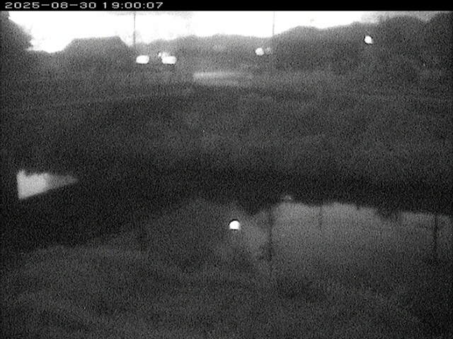 蒲生川２2025/08/31 9:00:00