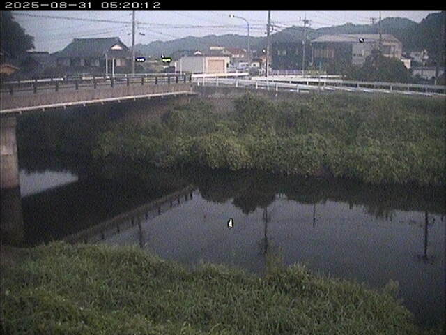 蒲生川２2025/08/31 9:00:00