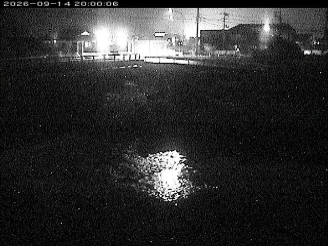 蒲生川２2026/09/15 14:50:00