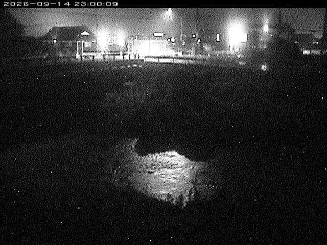 蒲生川２2026/09/15 14:50:00
