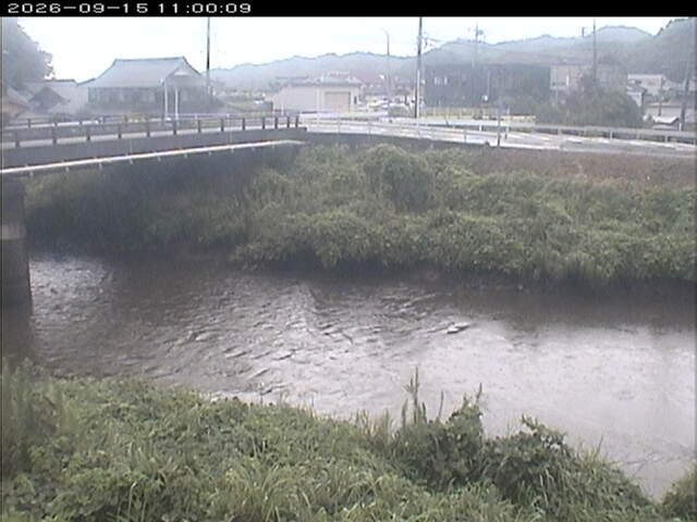 蒲生川２2026/09/15 14:50:00