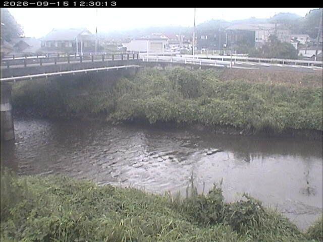 蒲生川２2026/09/15 14:50:00