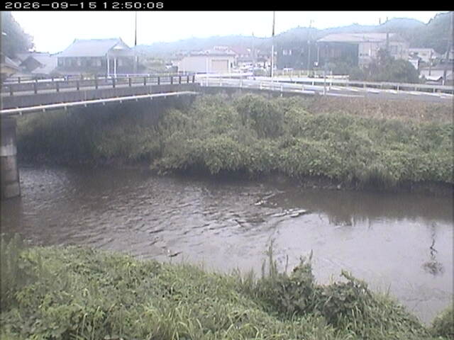 蒲生川２2026/09/15 14:50:00