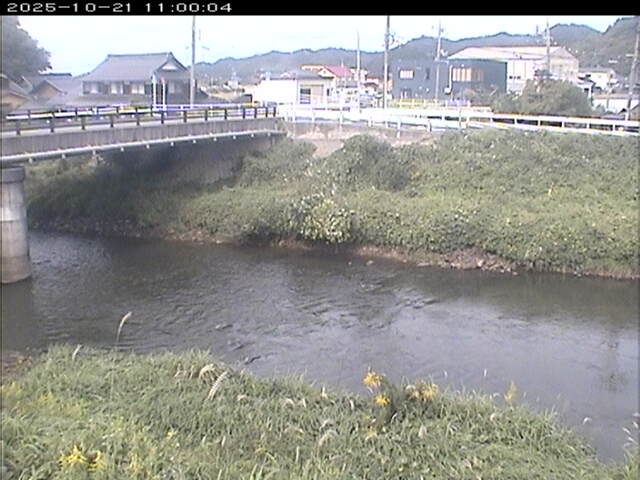 蒲生川２2025/10/22 11:20:00