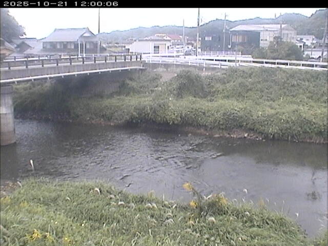 蒲生川２2025/10/22 11:20:00