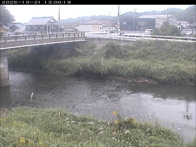 蒲生川２2025/10/22 11:20:00