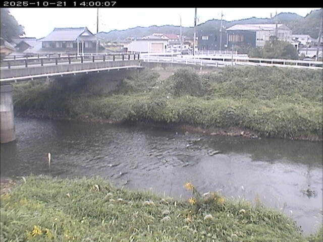蒲生川２2025/10/22 11:20:00