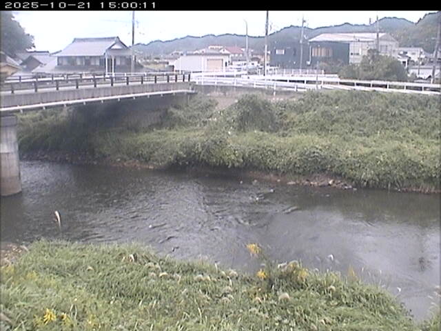 蒲生川２2025/10/22 11:20:00