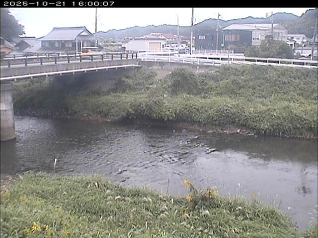 蒲生川２2025/10/22 11:20:00