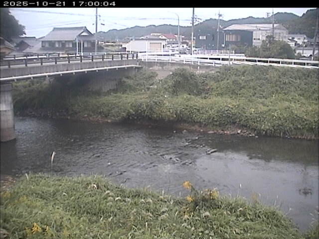 蒲生川２2025/10/22 11:20:00