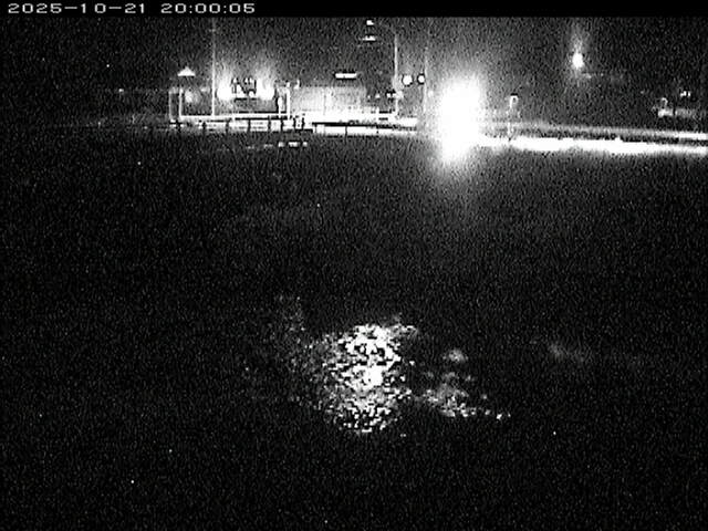蒲生川２2025/10/22 11:20:00
