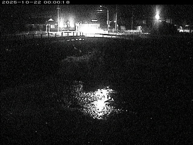 蒲生川２2025/10/22 11:20:00