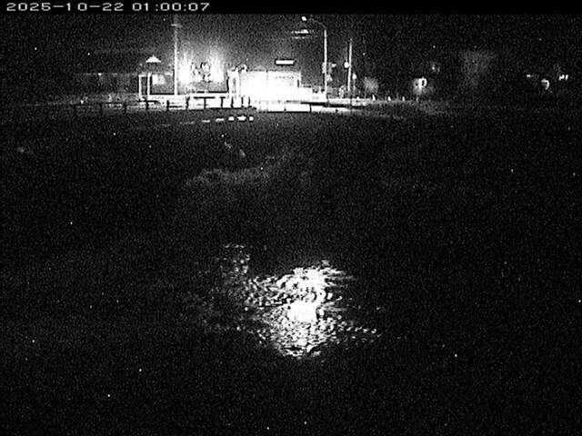 蒲生川２2025/10/22 11:20:00