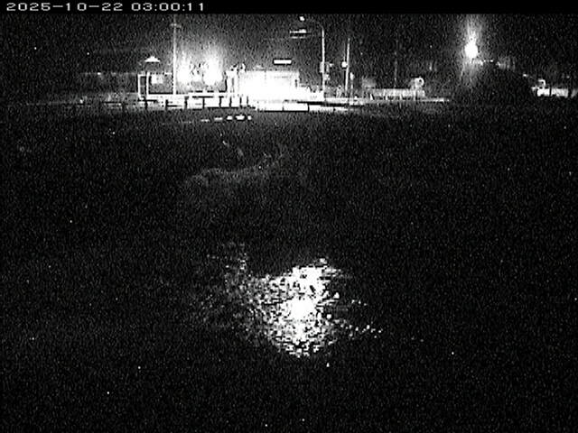 蒲生川２2025/10/22 11:20:00