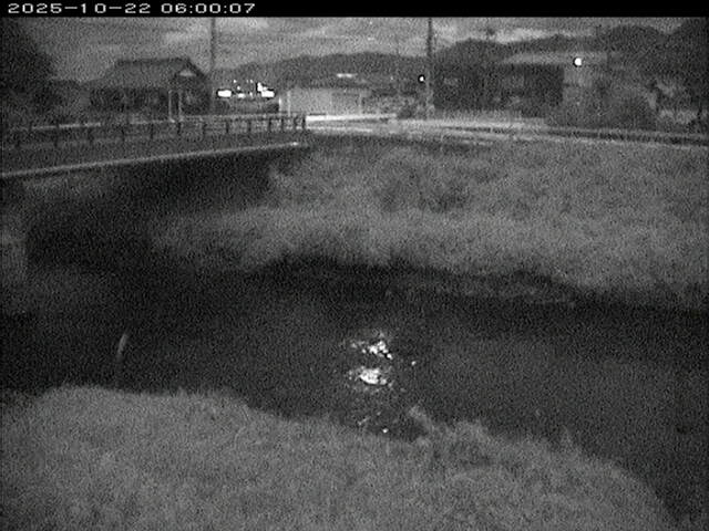 蒲生川２2025/10/22 11:20:00