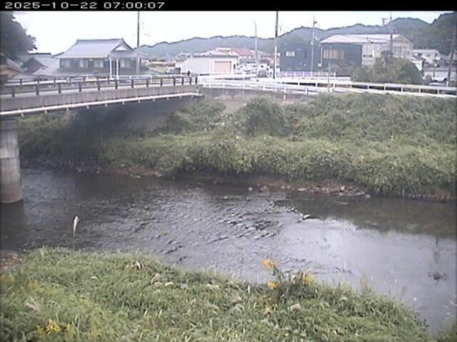 蒲生川２2025/10/22 11:20:00