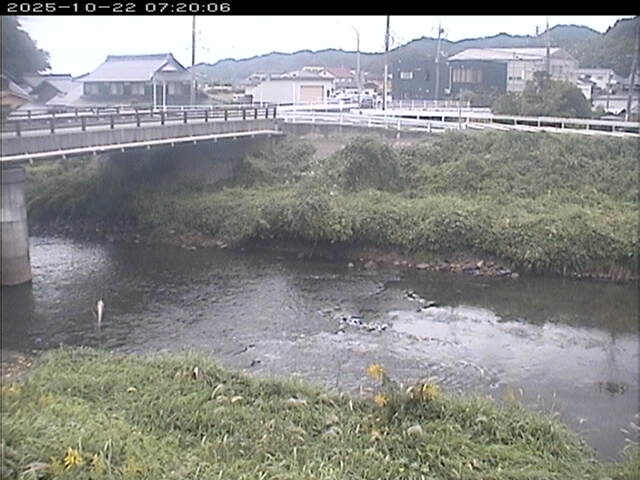 蒲生川２2025/10/22 11:20:00