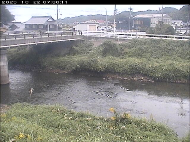 蒲生川２2025/10/22 11:20:00