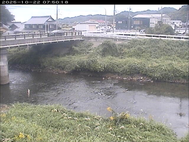 蒲生川２2025/10/22 11:20:00